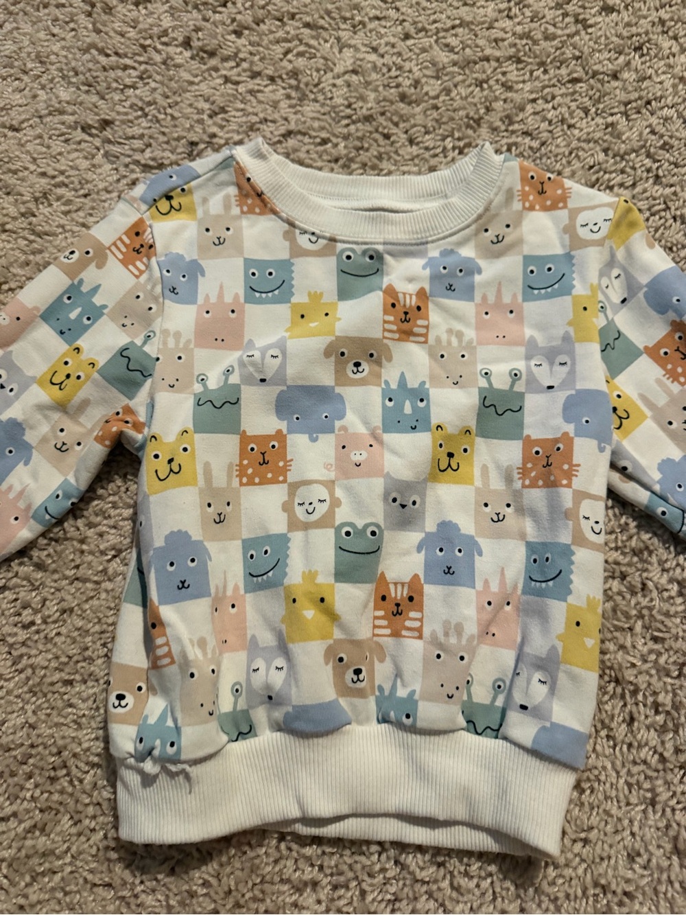 Kids Pastel Animal Grid Sweatshirt - Multicolor